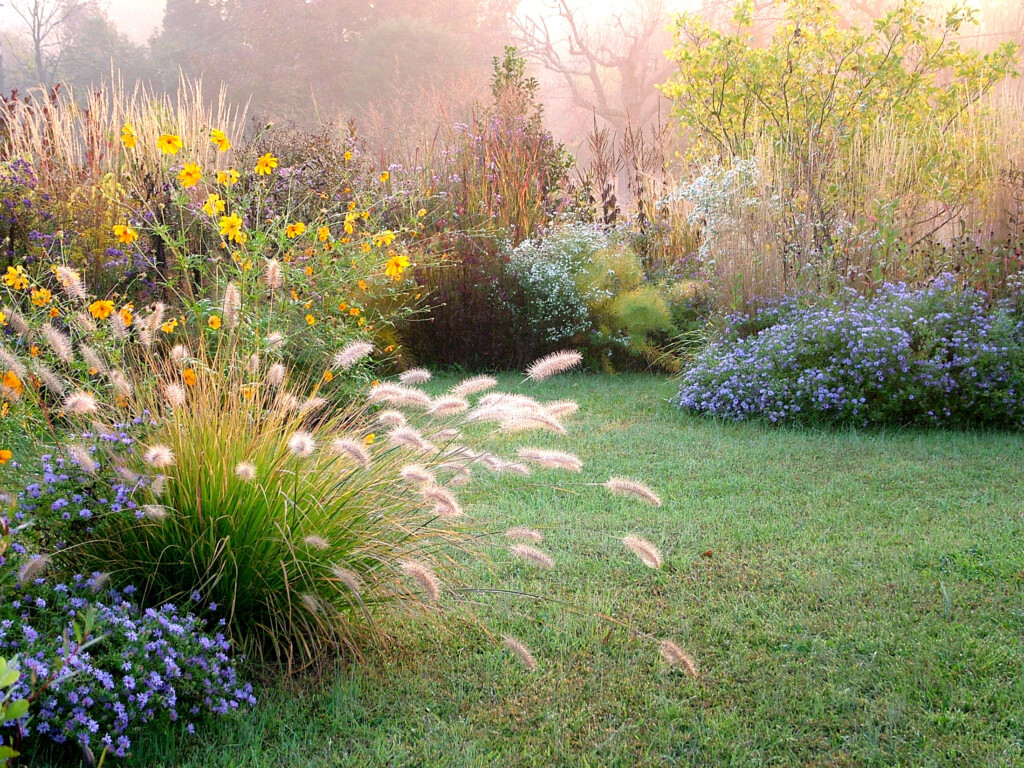 Late-Summer-Plantings