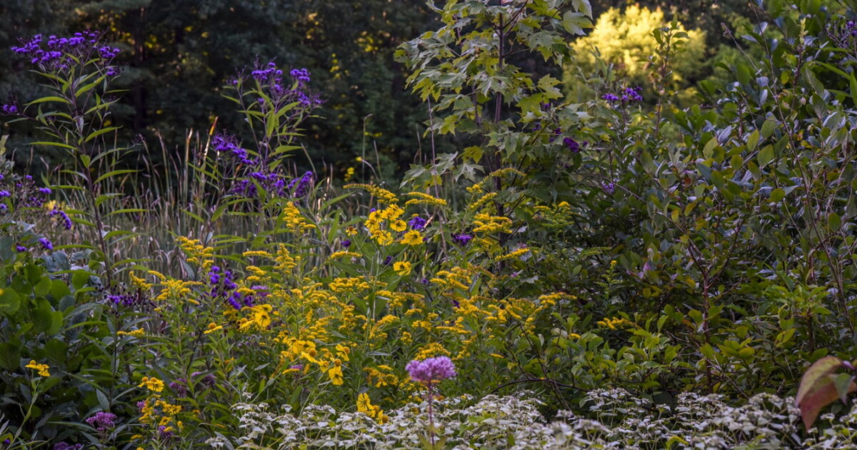 New England Botanic Garden (NEBG) at Tower Hill, Boylston, MA; Photo by NEBG at Tower Hill