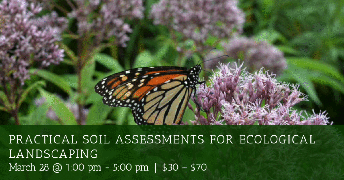 practical soil v2 march 2026