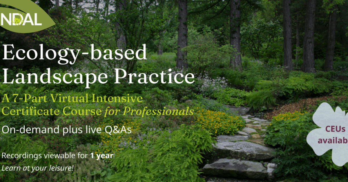 ndal ecology professional intensive 2026 header ndal ecology professional intensive 2026 header