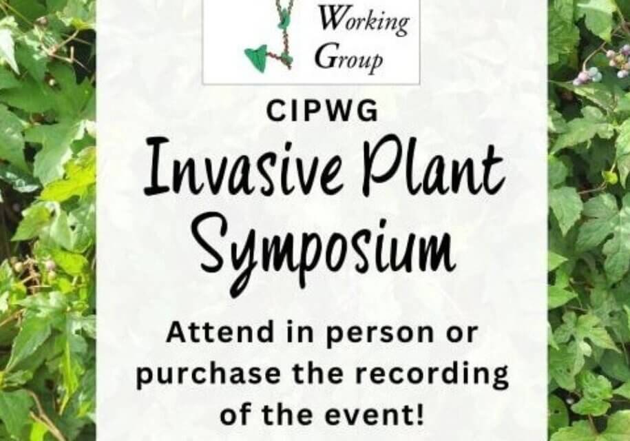 CIPWG-In-Person-Symposium_2026