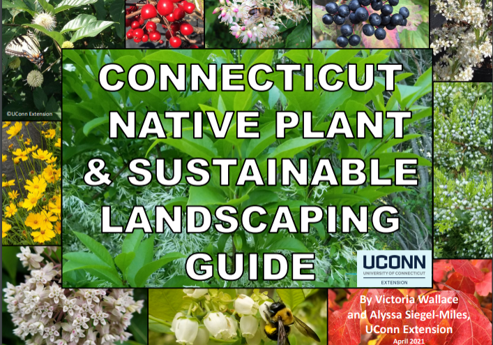 Cover-Native-Plant-Guide