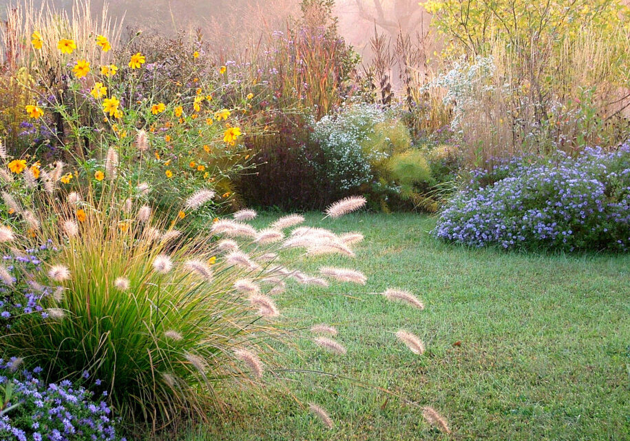 Late-Summer-Plantings