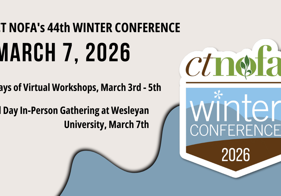 WC2026 Main Event Banner