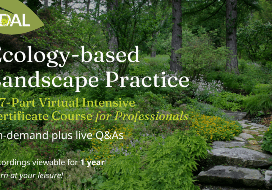 ndal ecology professional intensive 2026 header
