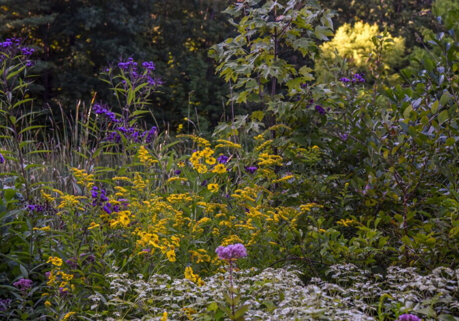 New England Botanic Garden (NEBG) at Tower Hill, Boylston, MA; Photo by NEBG at Tower Hill